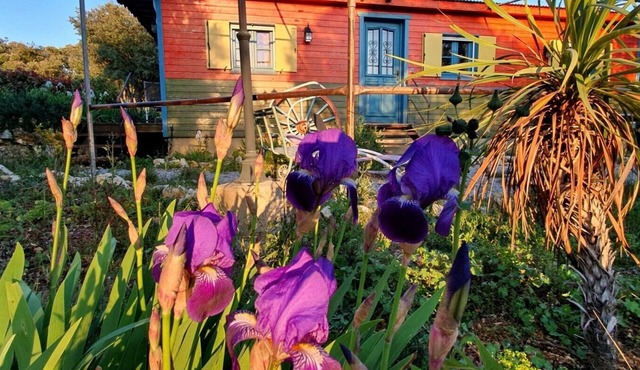 Charming Bohemian Retreat with Pool and Stunning Views in Nature