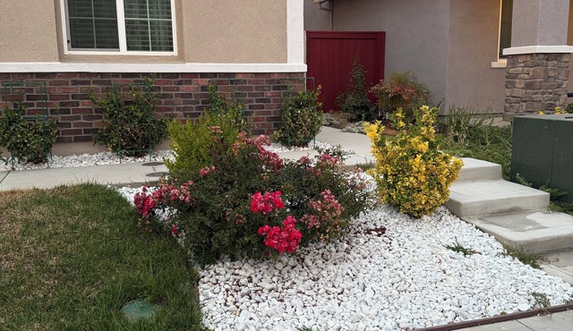 Charming brand-new 1-bedroom, 1-bath private suite with private entrance