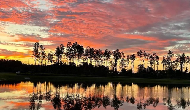 Charming brand new 4-bedroom house with a pond view. Close to Tampa and Orlando.