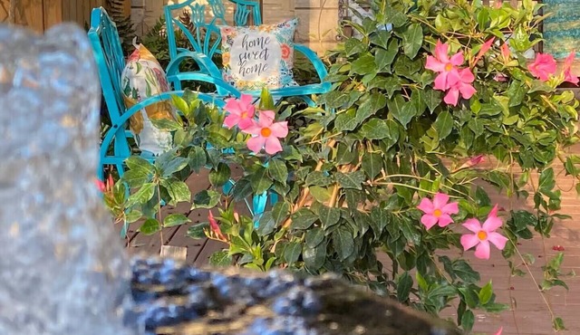 Charming bungalow near downtown Round Rock! High speed Wi-Fi!