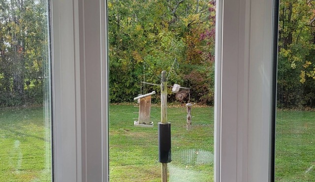 Charming Bungalow with a pool