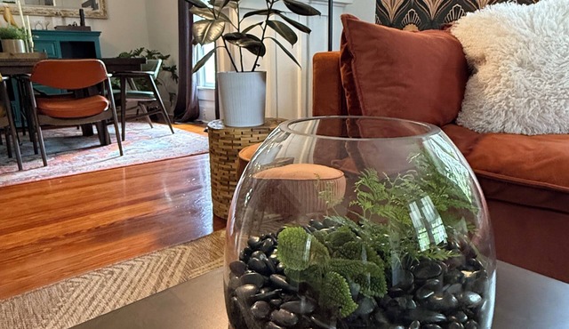 Charming bungalow with plunge pool located steps away from trendy Mills 50 area.