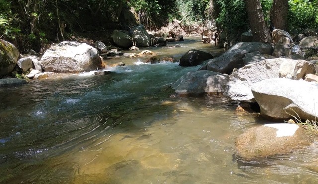 Charming cottage * near Carcassonne