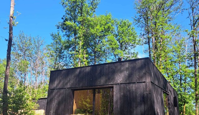 Charming chalet in Sainte-Foy-de-Longas nestled in a private woodland forest