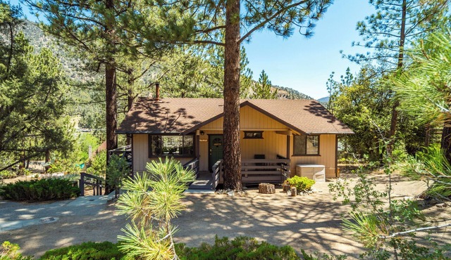 Charming Cabin Getaway Pine Mountain Club