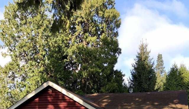 Charming Cabin 2 Blocks from the Salt Water Beach