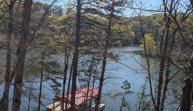 Charming cabin in wonderful East Bernstadt with AC