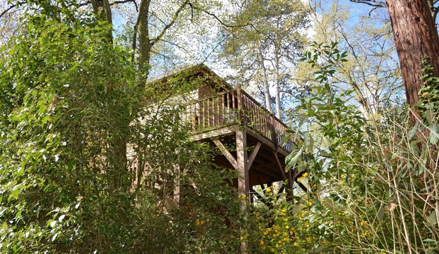 Charming cabin in brilliant Amboise with AC