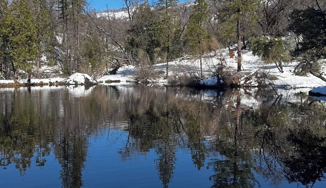 Charming cabin in pleasant Auberry close to Shaver Lake. A hidden treasure!