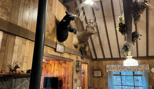 Charming Cabin in the Woods Close to Ricketts Glen