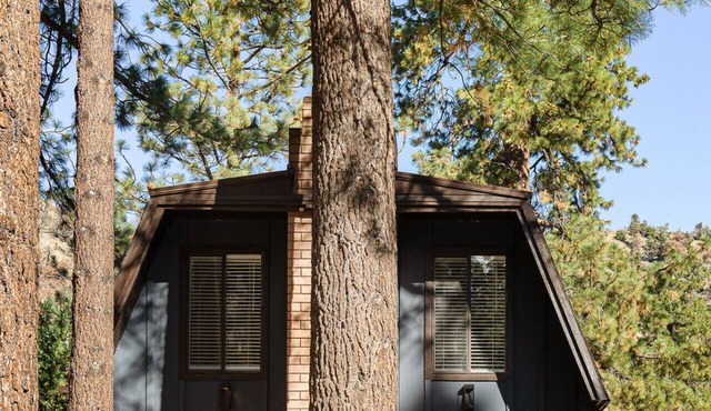 Charming Cabin | Kid & Pet Friendly, Wood Burning Fireplace