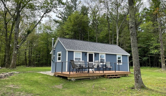 Charming Cabin minutes from Keuka Lake