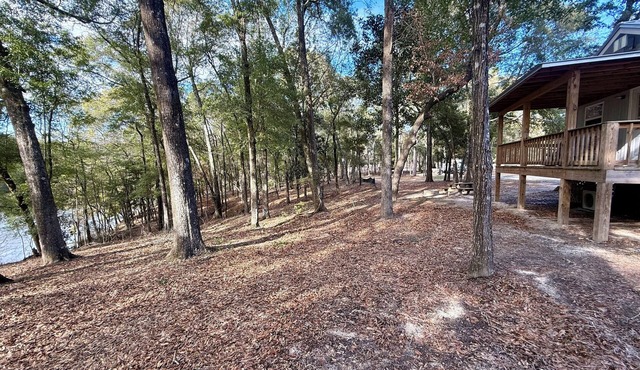 Charming cabin nestled in the woods in Andalusia, AL
