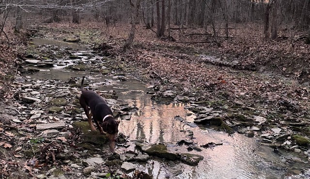 Charming cabin nestled in 30 secluded acres ready for your next adventure!