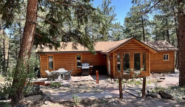 Charming Cabin on Dream Property