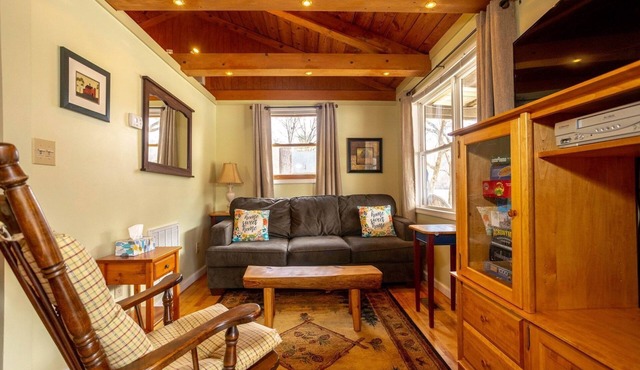 Charming Cabin only 20 ft from New River! 1BS4