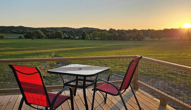 Charming cabin with amazing views located on Toontucky Farms