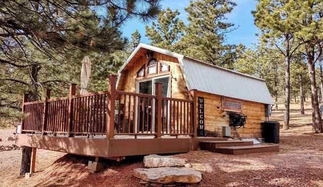 Charming Cabin with AC, heating, hot tub, and WiF, Park Pass in Hermosa