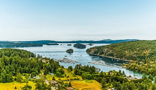 Charming cabin with private hot tub & ocean view- near everything in Deer Harbor