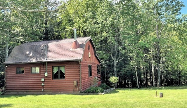 Charming cabin with WiFi in New Milford