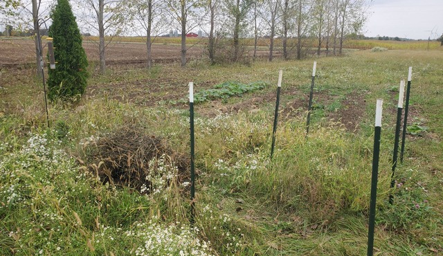 Charming campground in Belle Center with WiFi access