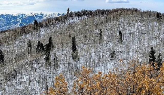 Charming campground with tent in Park City for a cozy getaway