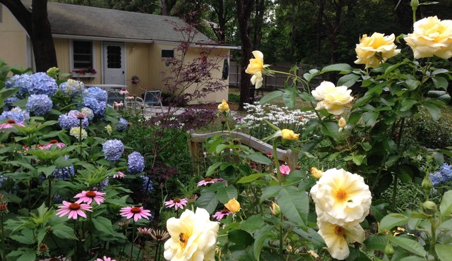 Charming Cape Cod Cottage