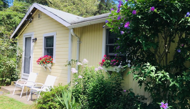 Charming Cape Cottage in Brewster