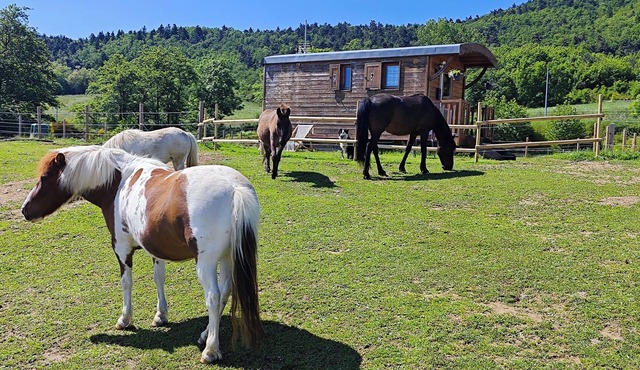 Charming caravan in the Ardéchoise hills