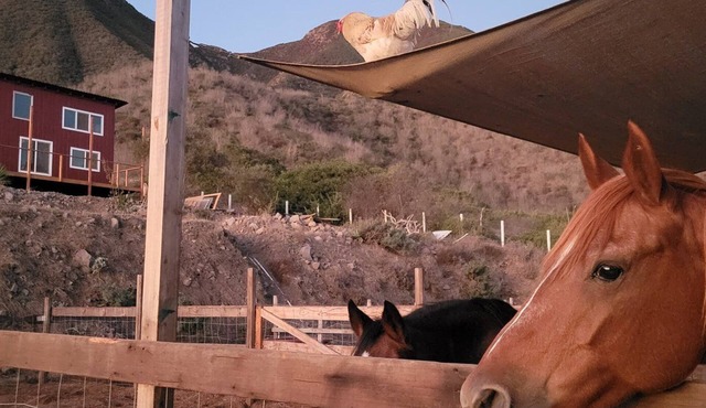 Charming casita on Lucky Tree Ranch horse ranch with 360° Views Ocean Mountains