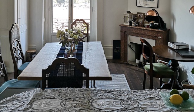 Charming, central 1 BR vegetarian apartment in Geneva