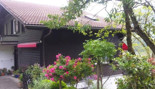 Charming chalet flat with a view