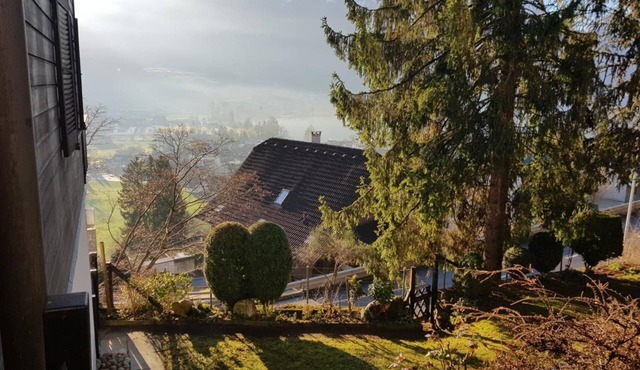 Charming chalet flat with a view