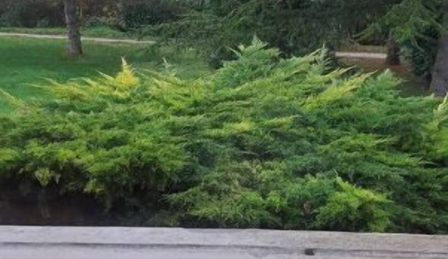 Charming chalet-house in the Champagne region