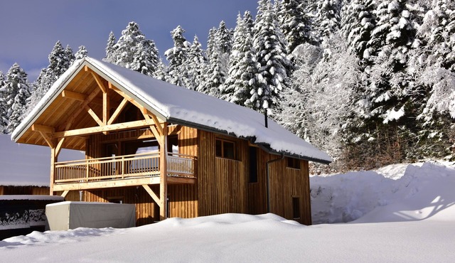 Charming chalet in a family resort - La Féclaz