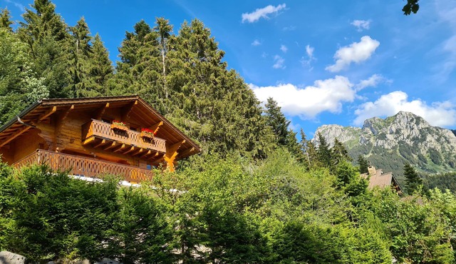 Charming Chalet In The Alps, Close To Lake Geneva