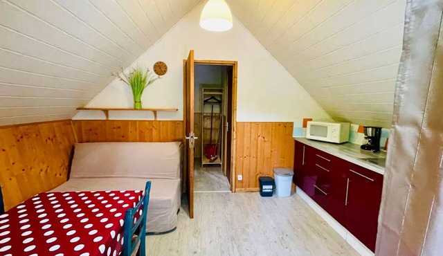 Charming chalet, pets welcome - 4 guests