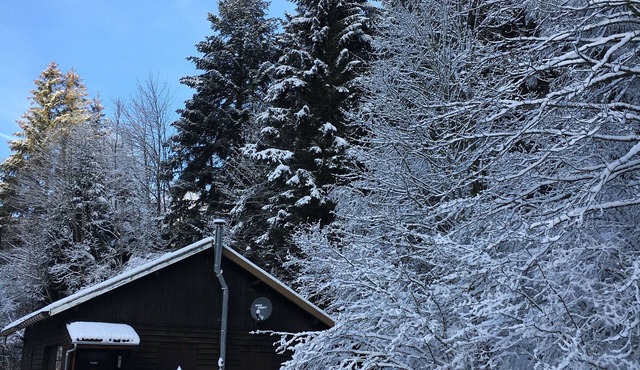 Charming Chalet with Nature Views, Near Colmar & Gérardmer, Ideal for 4, Free WiFi