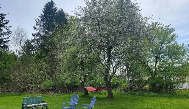 Charming Classic Village Home walking distance to St. Bonaventure University