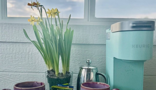 Charming Clover Creek Inn, On Summerhill Brewing