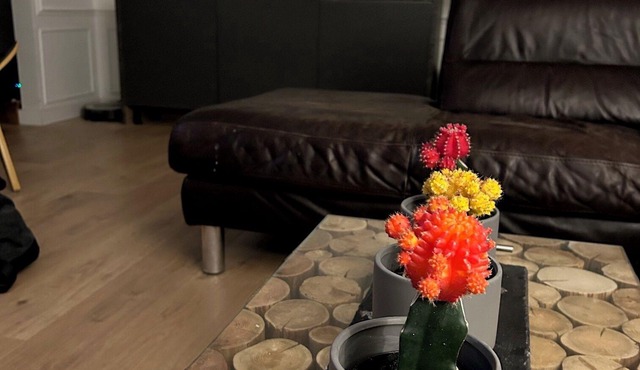 Charming Cobourg Escape: Steps from the Lake and Downtown