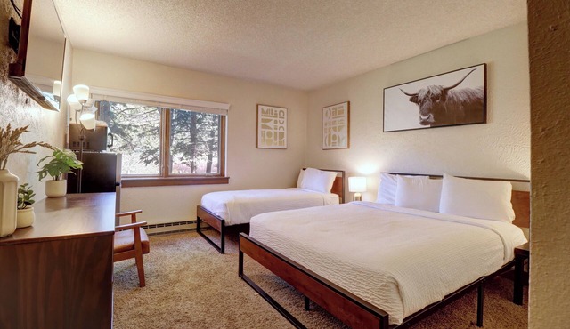 Charming, Comfortable and Affordable Mountain Hotel AN104A