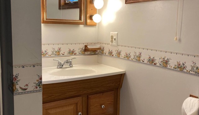 Charming, Convenience and Comfort - Minutes from Downtown Rochester