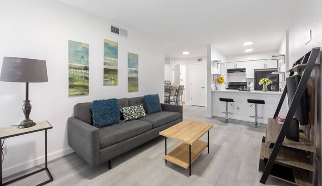 CHARMING CORPORATE APARTMENT IN DFW!