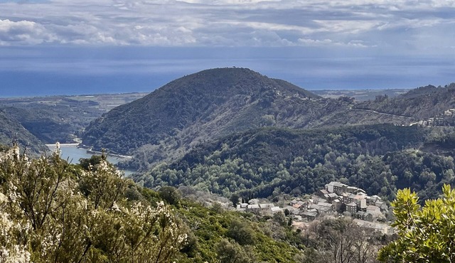 Charming Corsican house