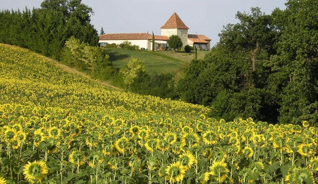 Charming cottage for 6 people, in a beautiful property, in the countryside, Wifi