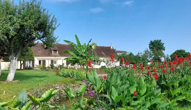 Charming cottage with garden, WiFi, pets welcome