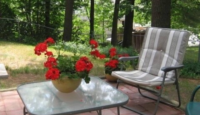 Charming cottage apartment close to the beach