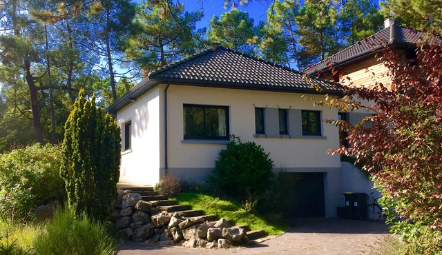 Charming cottage at Stella plage near the sea and Le touquet, in the heart of the pine forest