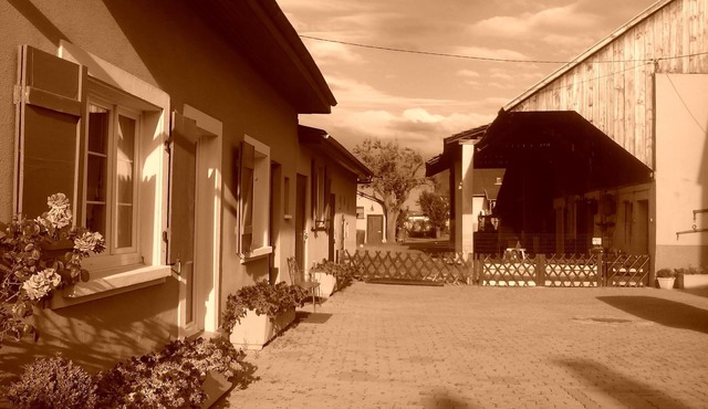 Charming cottage at the DE LA TORRE farm